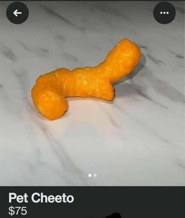 Cringey Items Available on Facebook Marketplace (27 photos)