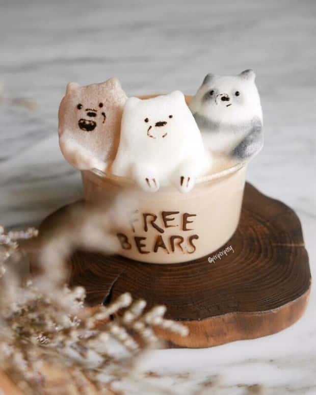 Creative Latte Art by Daphne Tan (32 photos)