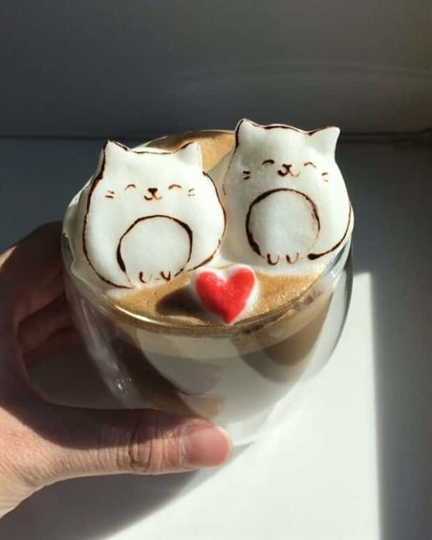 Creative Latte Art by Daphne Tan (32 photos)
