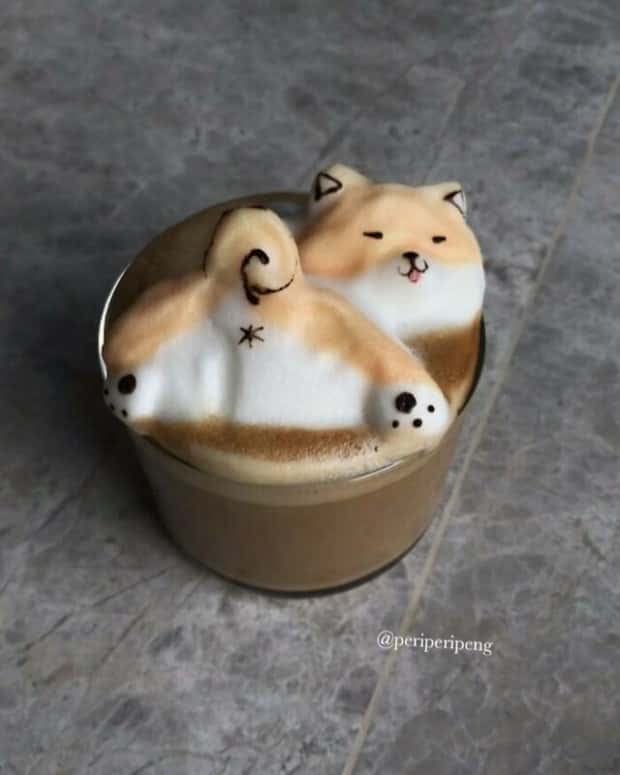 Creative Latte Art by Daphne Tan (32 photos)