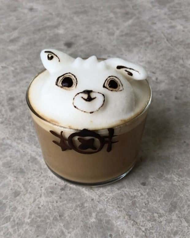 Creative Latte Art by Daphne Tan (32 photos)