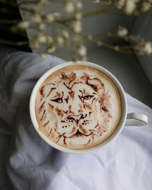 Creative Latte Art by Daphne Tan (32 photos)
