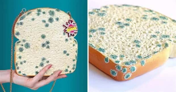 Food Inspired Womens Bags (16 photos)