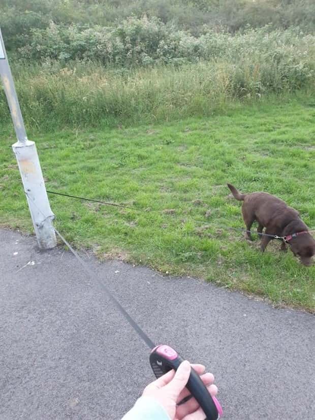 frustrating moments4 28 These Moments Can Be Exceptionally Frustrating (30 photos)