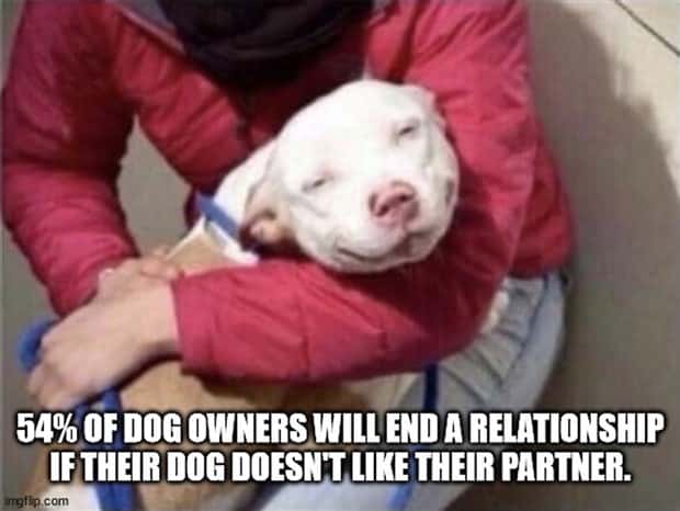 It’s Time for Some Cool and Interesting Facts #378 (26 photos)