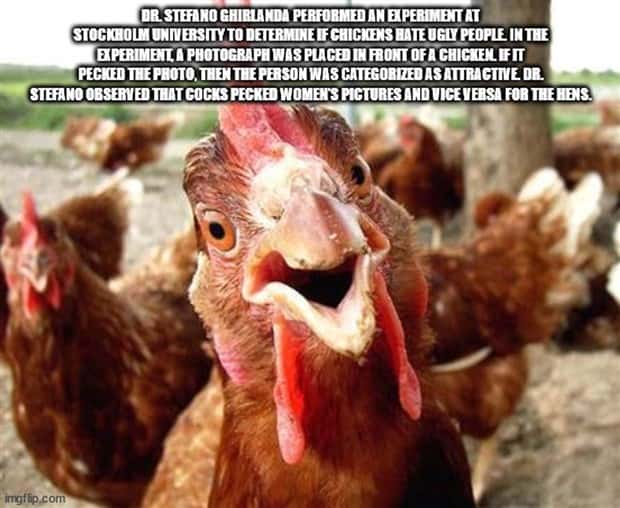 It’s Time for Some Cool and Interesting Facts #378 (26 photos)