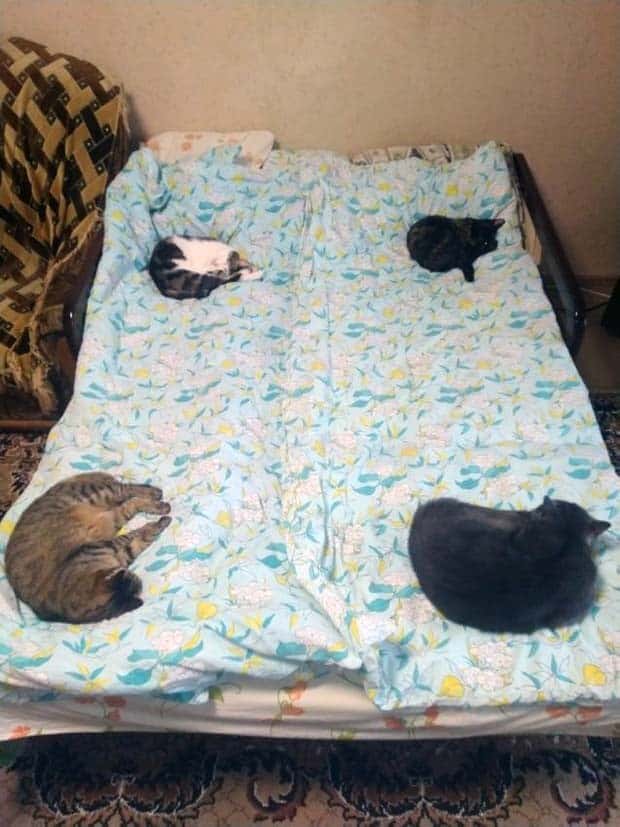 Get Ready for Funny Animals #335 (23 photos)