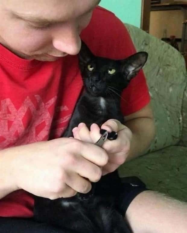 Get Ready for Funny Animals #335 (23 photos)