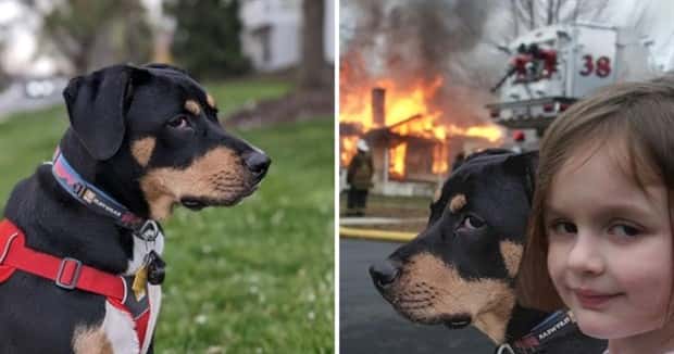 Photoshop Battles Are So Much Fun! (25 photos)