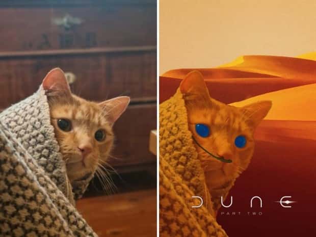 Photoshop Battles Are So Much Fun! (25 photos)