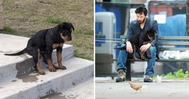 Photoshop Battles Are So Much Fun! (25 photos)