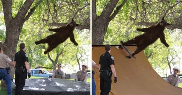 Photoshop Battles Are So Much Fun! (25 photos)