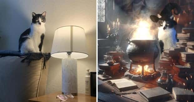 Photoshop Battles Are So Much Fun! (25 photos)