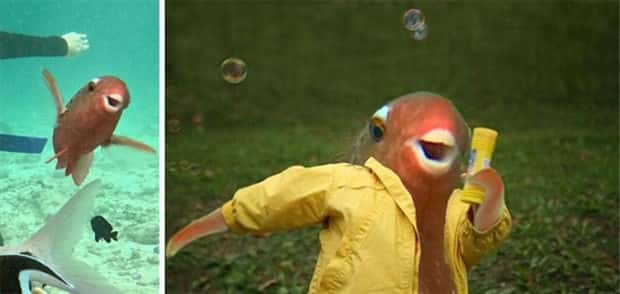 Photoshop Battles Are So Much Fun! (25 photos)