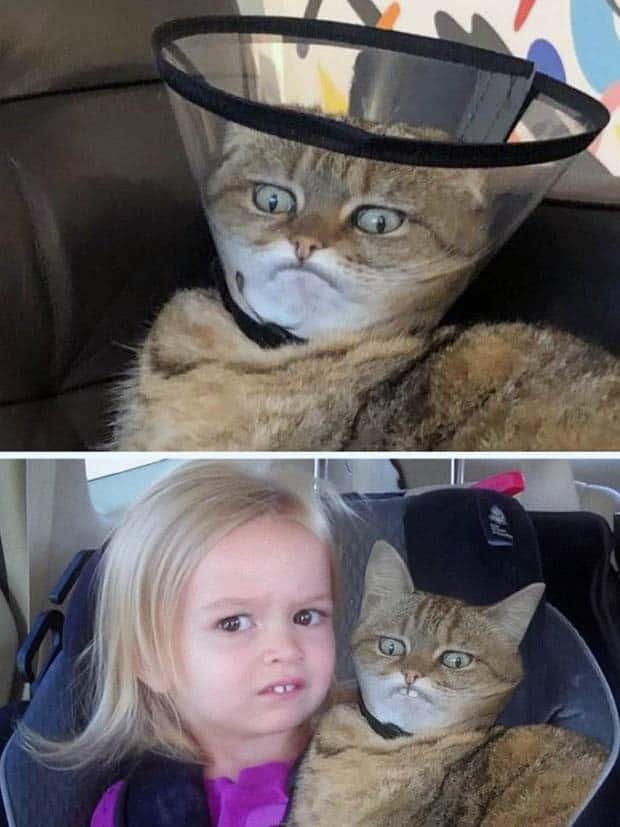 Photoshop Battles Are So Much Fun! (25 photos)