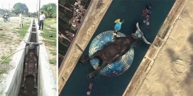 Photoshop Battles Are So Much Fun! (25 photos)