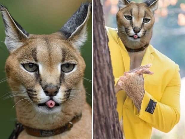 Photoshop Battles Are So Much Fun! (25 photos)