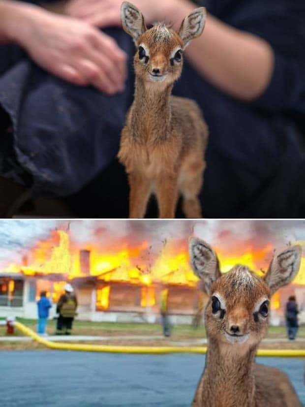 Photoshop Battles Are So Much Fun! (25 photos)