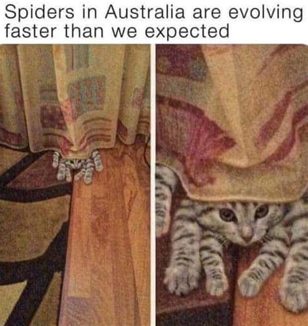 Funny Pics and Memes to Make You Laugh #104 (27 photos)