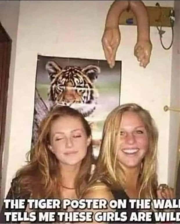 Funny Pics and Memes to Make You Laugh #104 (27 photos)