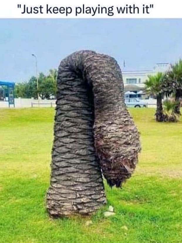 Funny Pics and Memes to Make You Laugh #105 (26 photos)