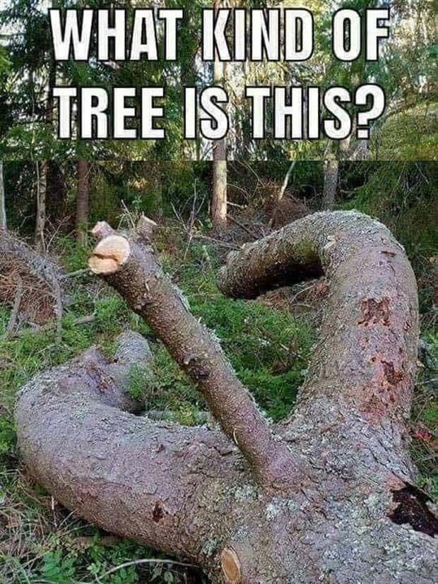 Funny Pics and Memes to Make You Laugh #102 (30 photos)