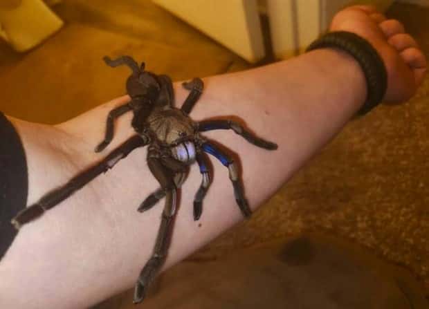 Klyker Picdump #1460 (55 photos)