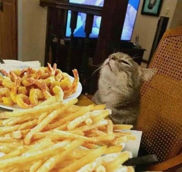 Klyker Picdump #1460 (55 photos)