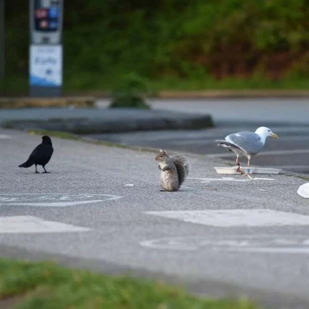 Klyker Picdump #1460 (55 photos)