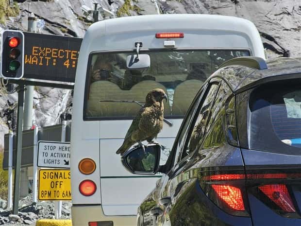 Klyker Picdump #1460 (55 photos)