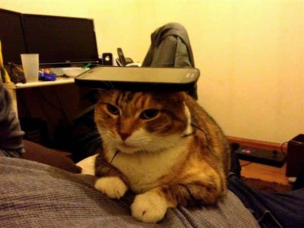 Klyker Picdump #1460 (55 photos)