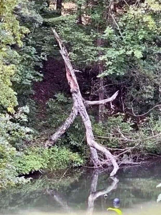 Klyker Picdump #1462 (42 photos)