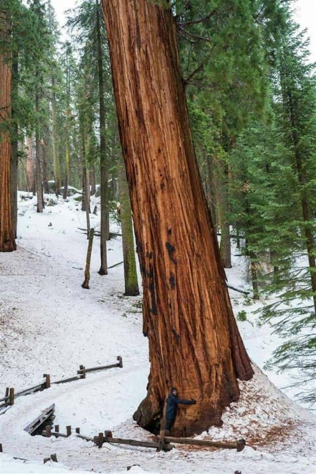 klyker picdump 5 15 2024 33 Klyker Picdump #1463 (43 photos)