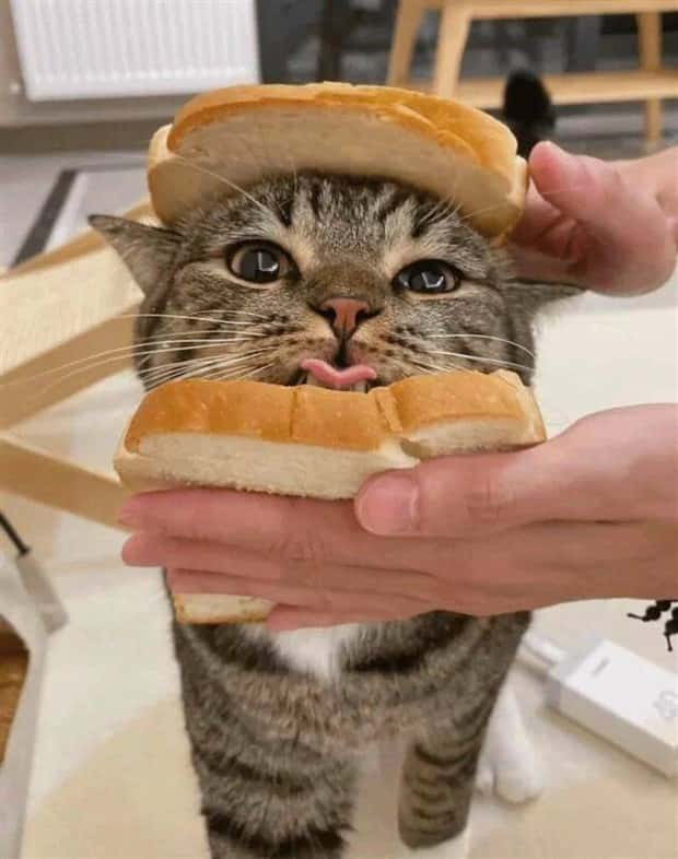 Klyker Picdump #1465 (45 photos)