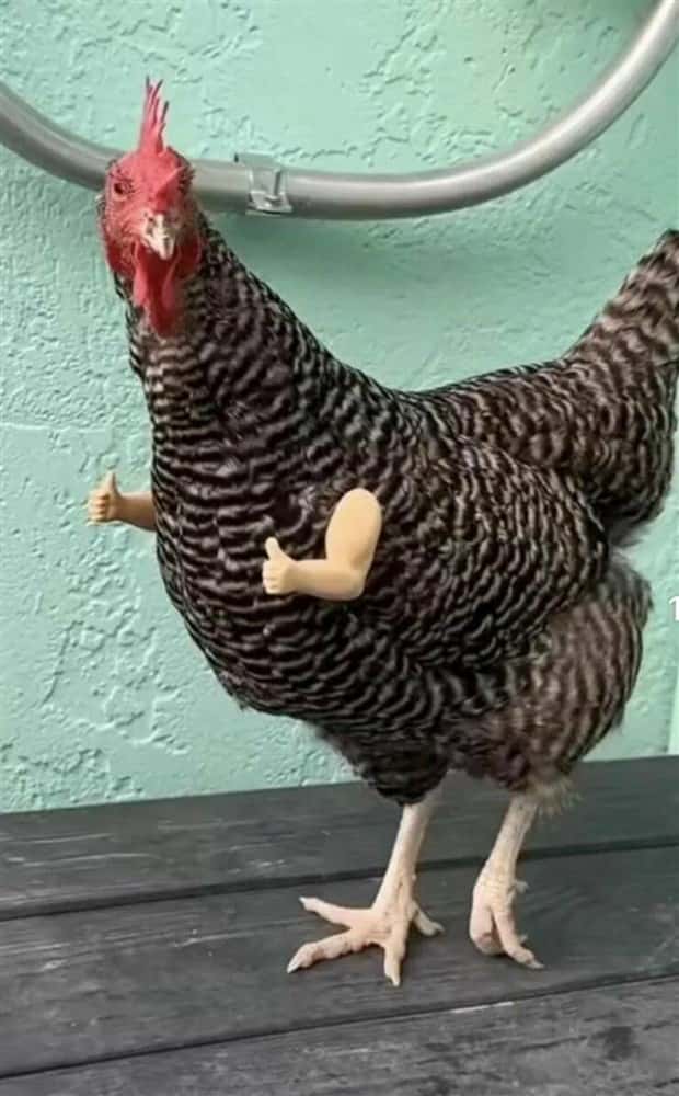 Klyker Picdump #1465 (45 photos)