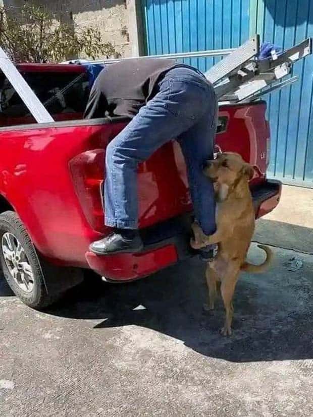 Klyker Picdump #1465 (45 photos)