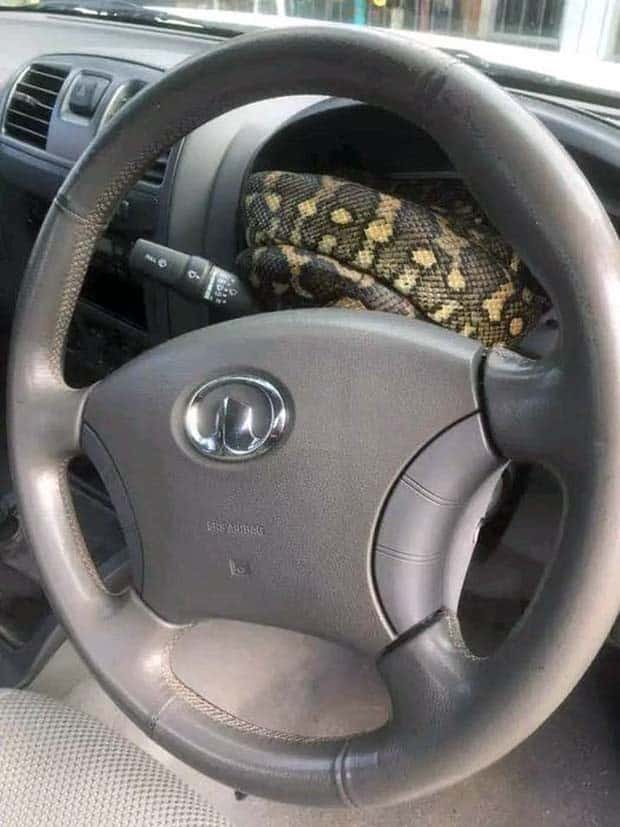 Klyker Picdump #1465 (45 photos)