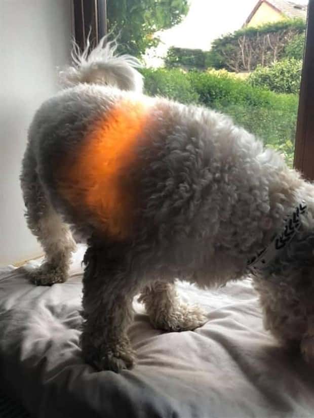 Klyker Picdump #1465 (45 photos)