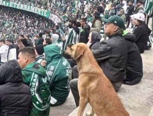 Klyker Picdump #1465 (45 photos)