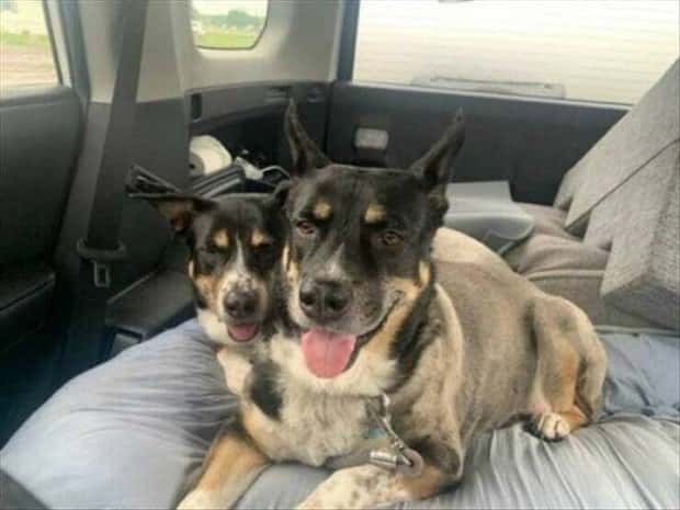 Klyker Picdump #1465 (45 photos)