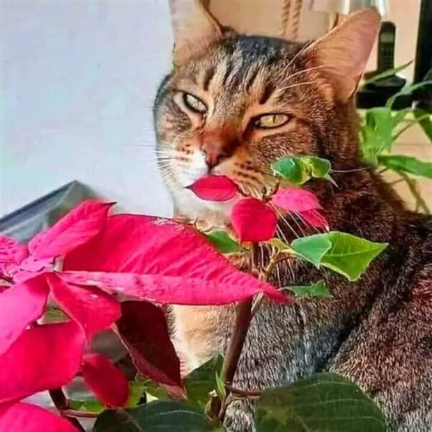 Klyker Picdump #1465 (45 photos)