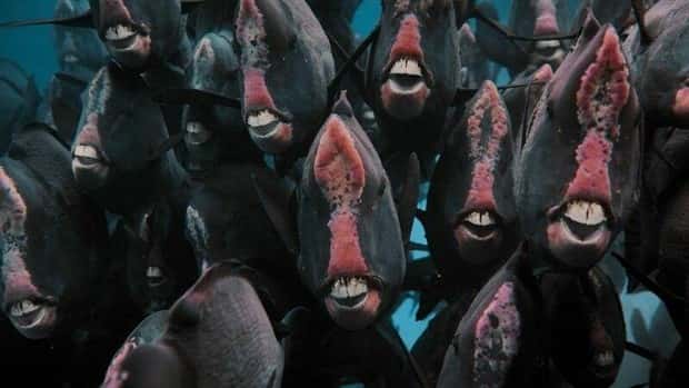 klyker picdump 5 2 2024 23 Klyker Picdump #1454 (54 photos)