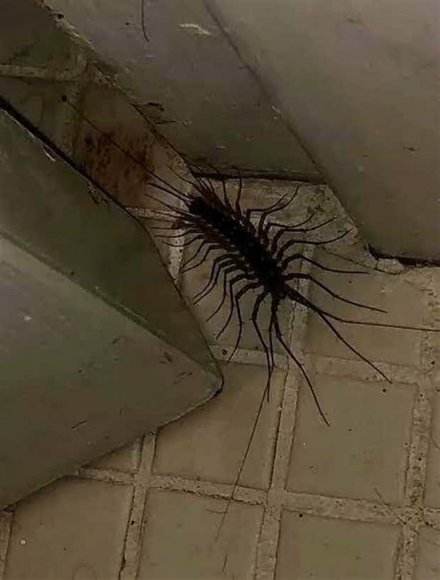 klyker picdump 5 2 2024 24 Klyker Picdump #1454 (54 photos)