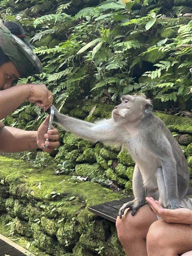 klyker picdump 5 2 2024 26 Klyker Picdump #1454 (54 photos)