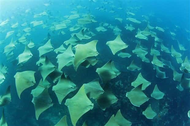 klyker picdump 5 2 2024 36 Klyker Picdump #1454 (54 photos)