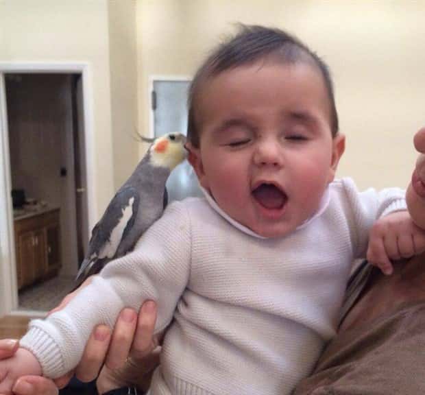 klyker picdump 5 2 2024 44 Klyker Picdump #1454 (54 photos)