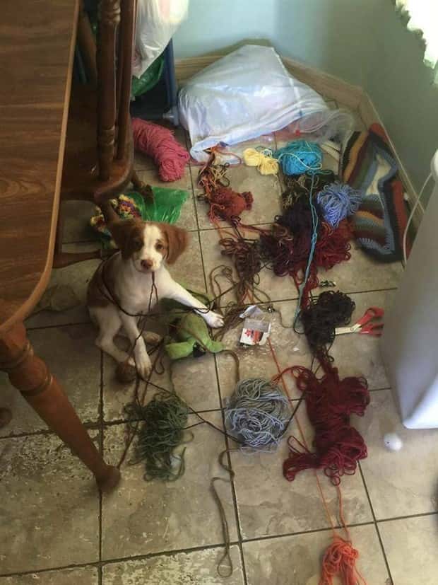 klyker picdump 5 2 2024 46 Klyker Picdump #1454 (54 photos)