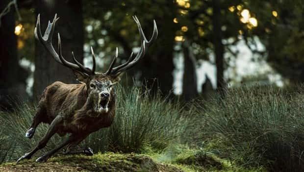 klyker picdump 5 2 2024 52 Klyker Picdump #1454 (54 photos)