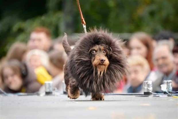 klyker picdump 5 2 2024 53 Klyker Picdump #1454 (54 photos)