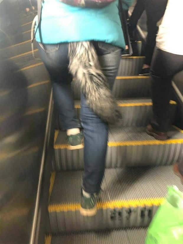 Klyker Picdump #1466 (41 photos)